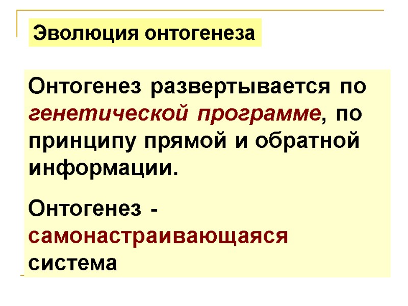 Онтогенез развертывается по генетической программе, по принципу прямой и обратной информации. Онтогенез - Онтогенез развертывается по генетической программе, по принципу прямой и обратной информации. Онтогенез -